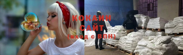 СК Коряжма
