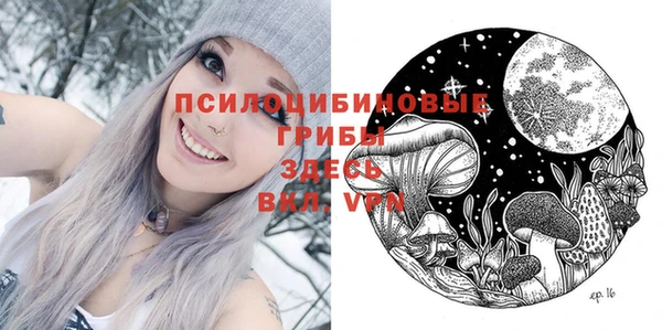СК Коряжма