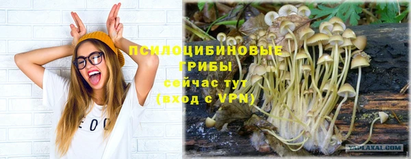 меф Корсаков