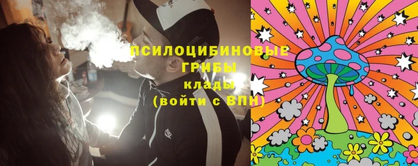 СК Коряжма