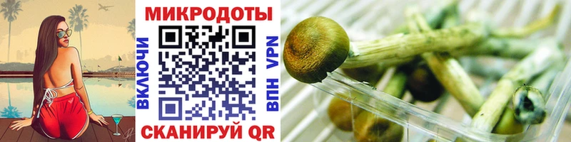 Псилоцибиновые грибы прущие грибы  Купить  Тайшет 